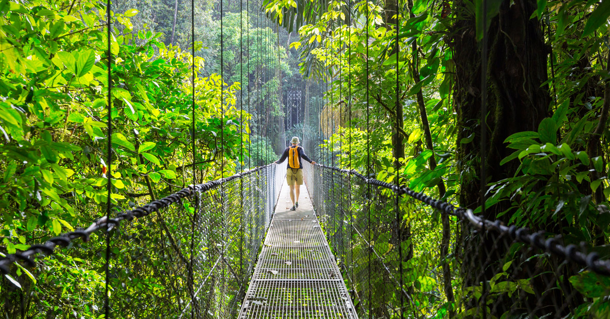 costa rica duplicar bosques costa rica duplicar bosques