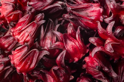 flor jamaica flor jamaica