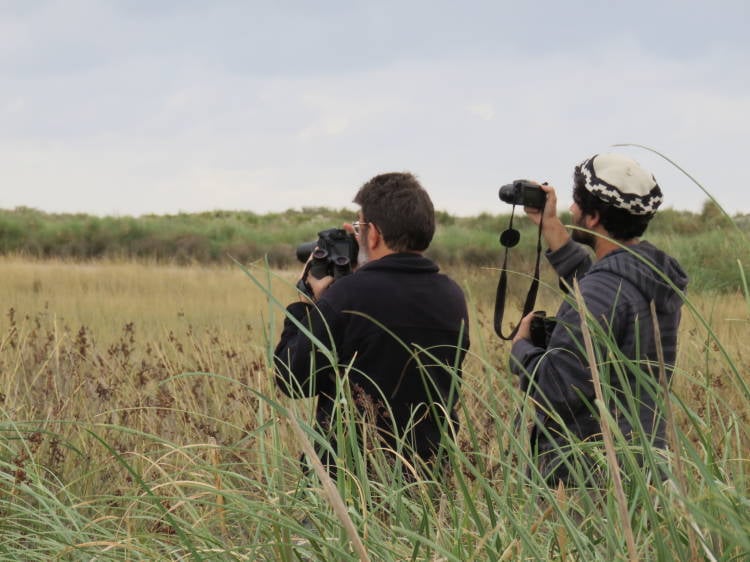 49798630028_76f880e9f7_o 49798630028_76f880e9f7_o