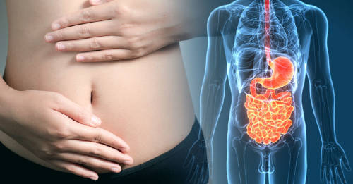 enzimas digestivas enzimas digestivas