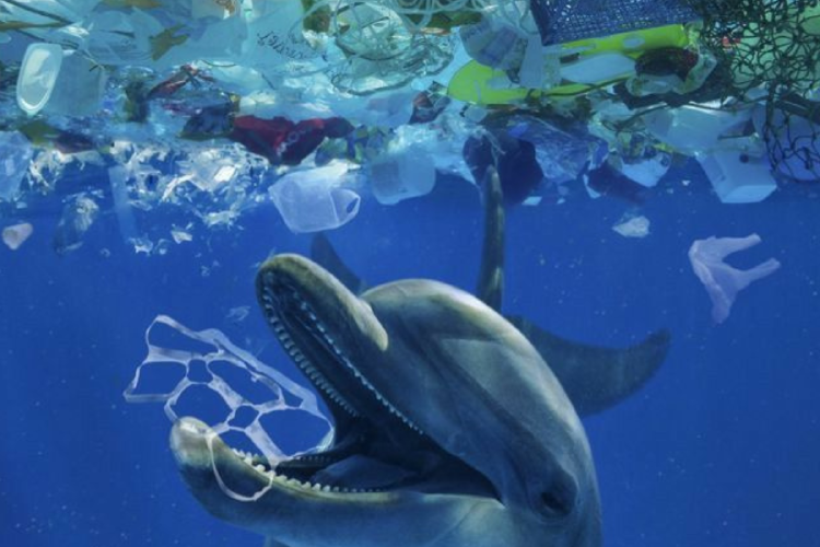 delfin plasticos Bolsas, sorbetes, envoltorios y otros plásticos de un solo uso siguen formando parte del escenario diario y del desastre ambiental. (Foto: Pinterest)
