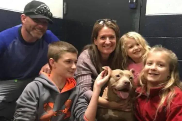 Perra rescatada Primera foto familiar de la perra rescatada. Imagen de @sarah.sleime a través de Facebook