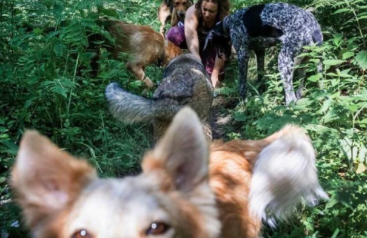 MUJER RUSA PERROS2 MUJER RUSA PERROS2