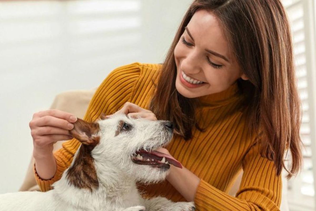 Si estás pensando en adoptar un perro y no sabes cuál elegir, tu signo zodiacal puede darte una pista. (Imagen: Pinterest)