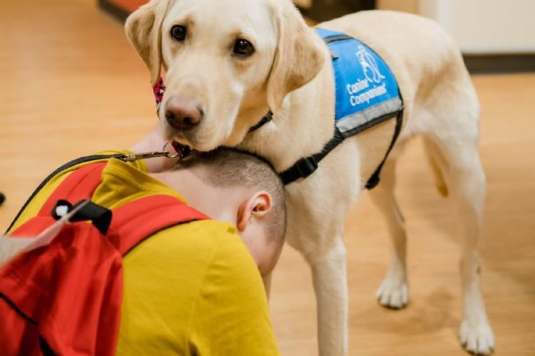 Diseño sin título 2024 11 08T123001.248 Dexter disfrutó de su día en el que fue consentido con sus golosinas favoritas.