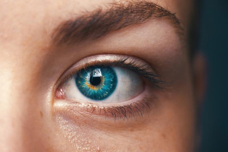 Ilusión óptica: qué es y qué tipos existen unsplash ilusion optica