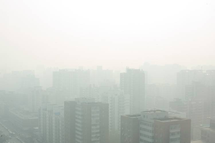 pekin china contaminada pekin china contaminada