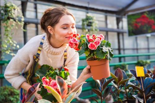 Las flores podrían ser la alternativa a los pesticidas químicos