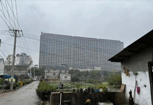 cerdos 1 plantbasednews cerdos 1 plantbasednews