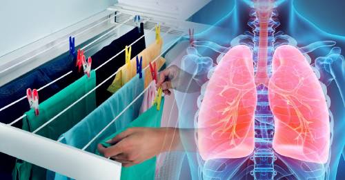 ¿Por qué no deberías secar más la ropa dentro de casa? Un gesto inocente con consecuencias poco conocidas