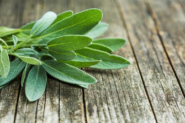 Té de salvia para tener el vientre plano