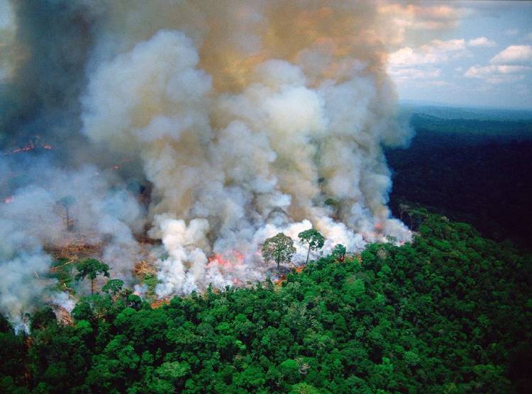 Grave incendio en el Amazonas