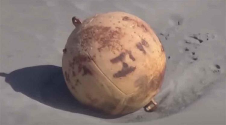 BOLA METAL JAPON2 BOLA METAL JAPON2