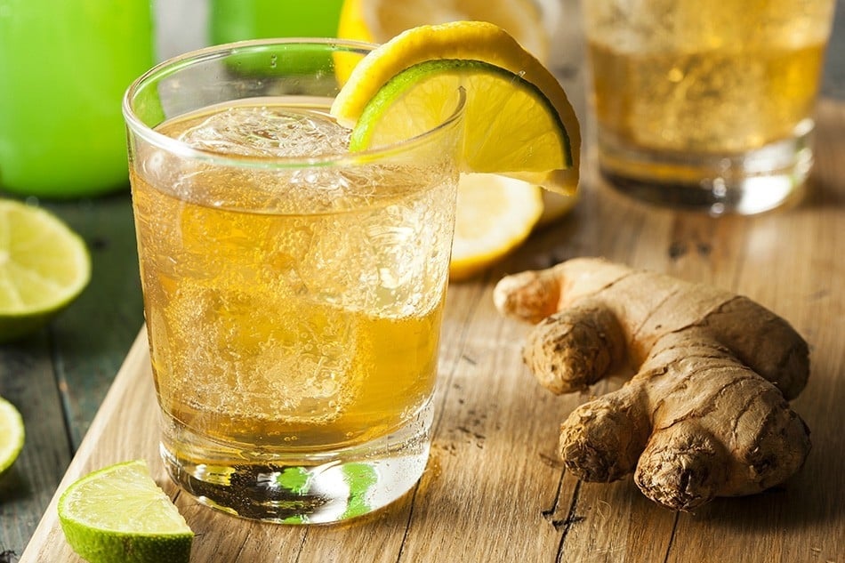 ginger-ale-una-bebida-para-aliviar-m-ltiples-malestares-receta-bioguia