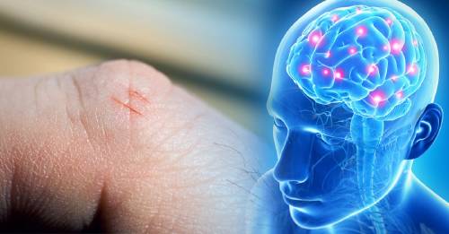 esta razon cortarte hoja de papel puede ser tan doloroso esta razon cortarte hoja de papel puede ser tan doloroso