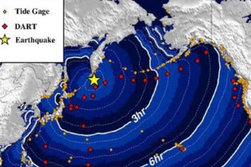 tsunami record.com.mx