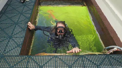 Joseph Dituri Proyecto Neptune 100. Joseph Dituri Proyecto Neptune 100.