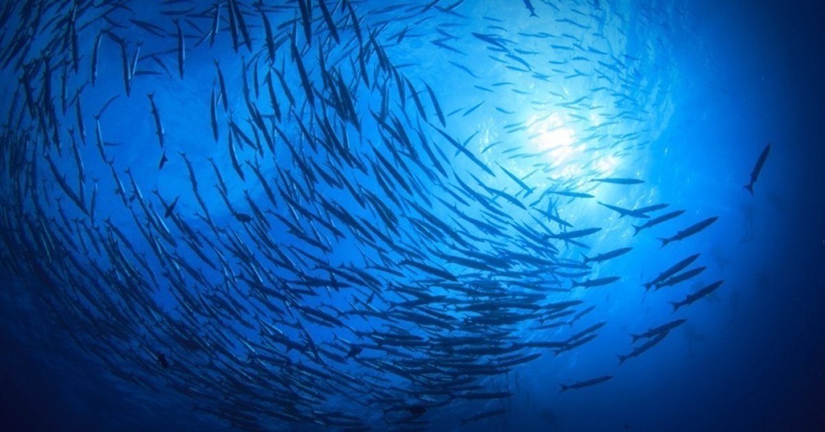 10 misterios del océano que te darán escalofríos