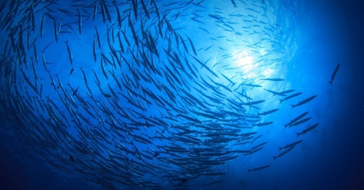 10 misterios del océano que te darán escalofríos 10 misterios del océano que te darán escalofríos