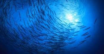 10 misterios del océano que te darán escalofríos
