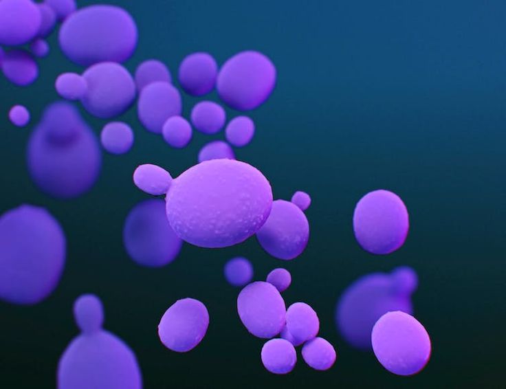 Candida auris que sait on de ce champignon mortel qui se répand dans les hôpitaux des États Unis Iziva com El calentamiento global también está afectando el comportamiento de los hongos. (Pinterest)