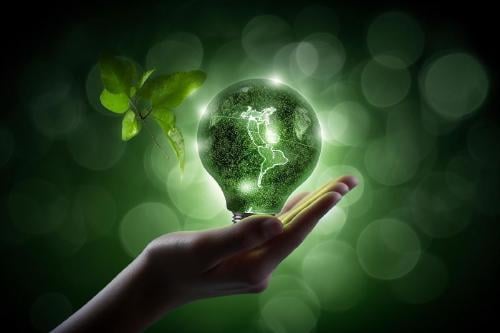 1684124377_archive_AdobeStock_582528695_rz1250 consejos para una vida sostenible