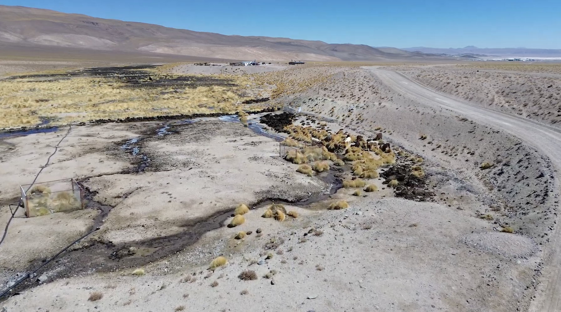 Salar del Hombre muerto / Comunidades Kollas y Atacama de Salinas Grandes y Laguna de Guayatayoc