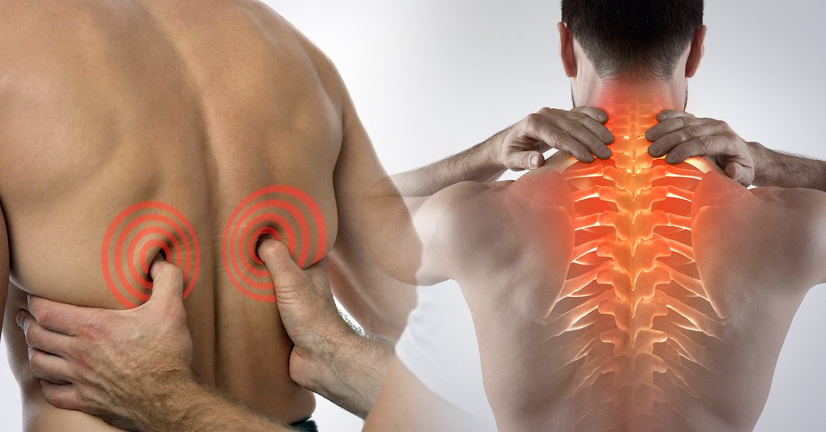 usted está Rectángulo digerir 3 puntos de presión de la medicina china para aliviar el dolor de espalda |  Bioguia