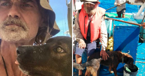 Collage portadas notas(5) Collage portadas notas(5)