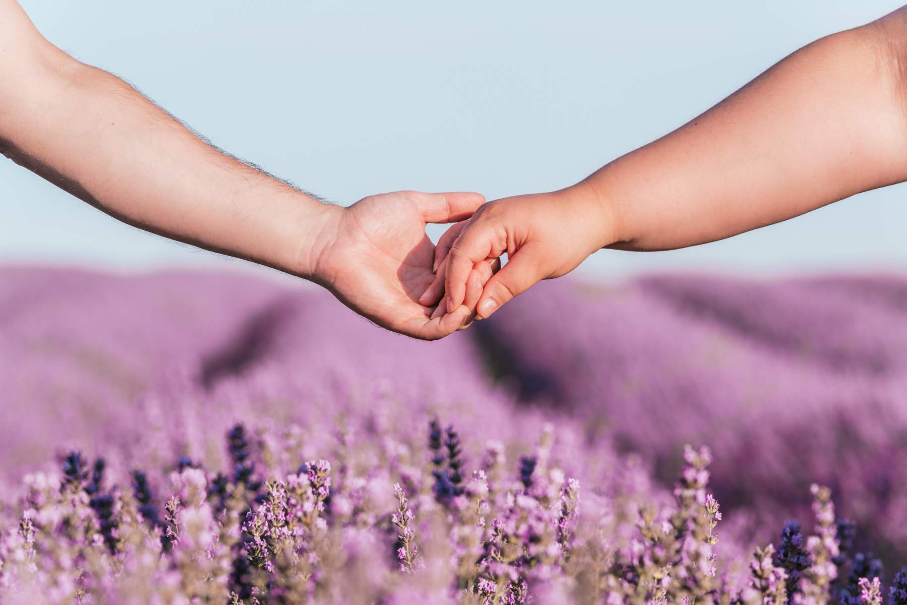 Manos estrechas relaciones Manos estrechas relaciones