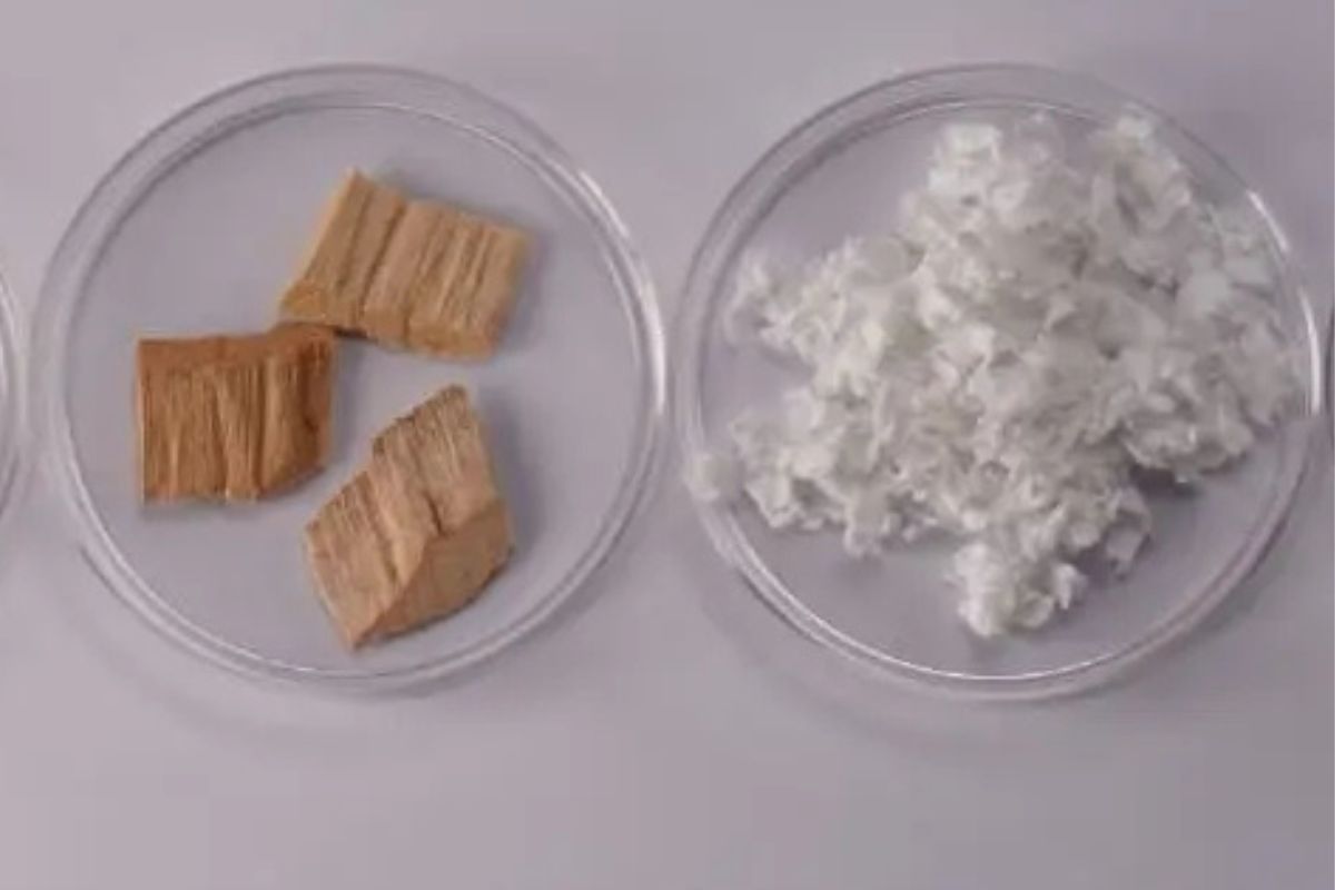 Imagen: textilevaluechain.in