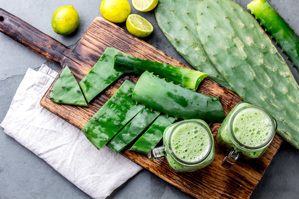 Cuáles son los beneficios para la salud de comer cactus | Bioguia
