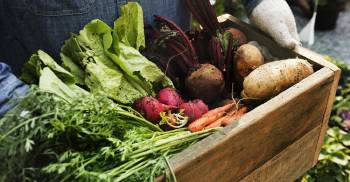 Frutas y verduras orgánicas, la base de la dieta ecológica