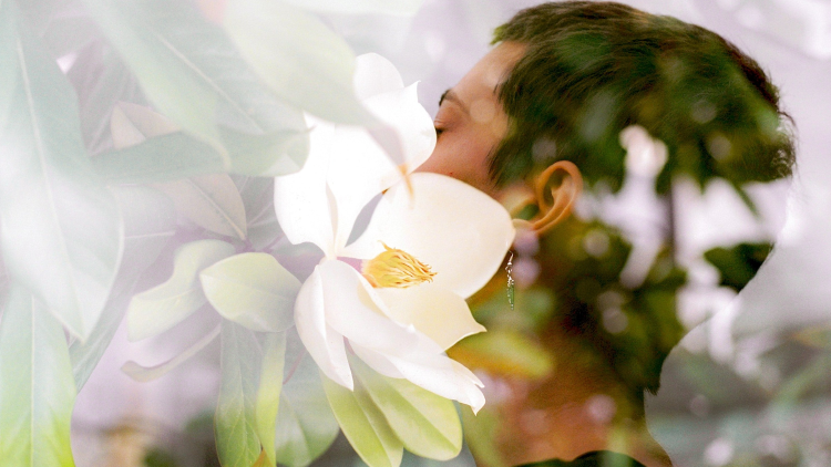 emocionalmente que significa perder el olfato emocionalmente que significa perder el olfato