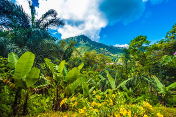 biodiversidad, hábitat