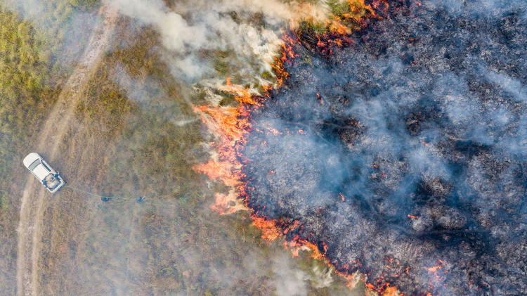 Incendios Iberá (Yerbalito) Matias Rebak Fundacion Rewilding Argentina 11