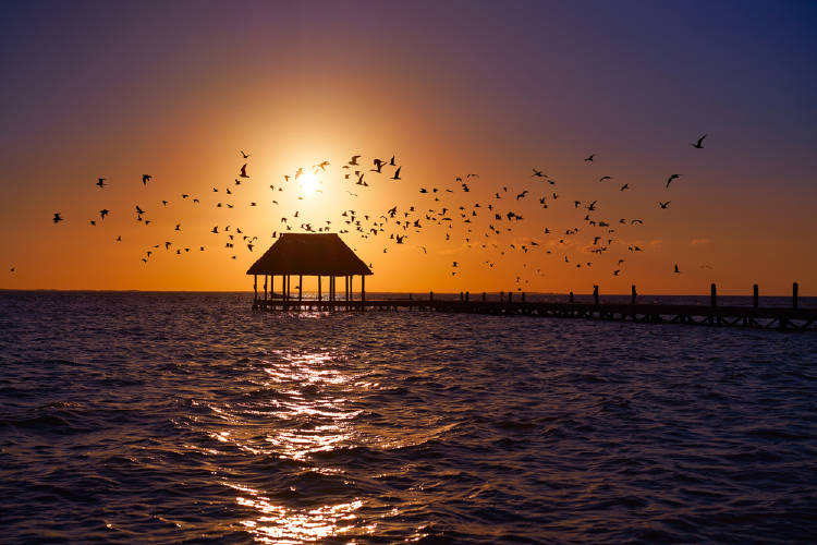 atardecer en la isla de holbox, mexico