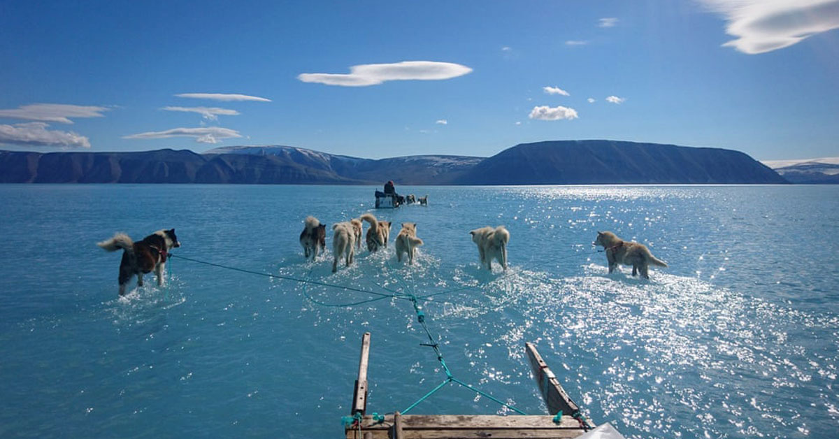 que esconde foto groenlandia que esconde foto groenlandia