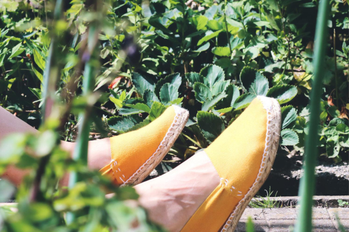 En la búsqueda de alternativas más éticas y sostenibles dentro de la industria de la moda, las zapatillas veganas se posicionan como una opción cada vez más popular.