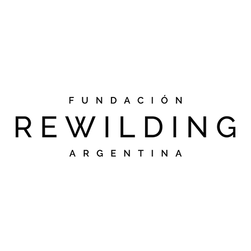 logo rewildingArtboard