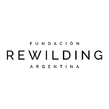 logo rewildingArtboard logo rewildingArtboard