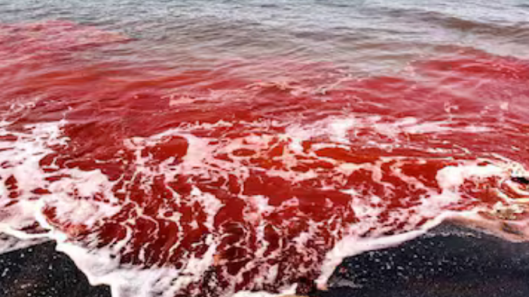 mar de arena roja Las imágenes, registradas el 8 y 22 de febrero de 2025, y que siguen siendo virales hasta este día, generaron impacto entre los internautas. (Foto: La Nacion)