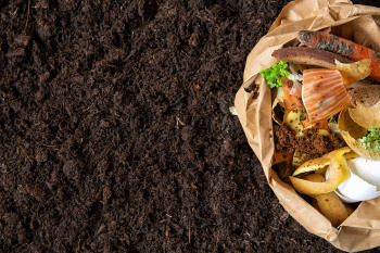 Hábitos saludables compost Hábitos saludables compost