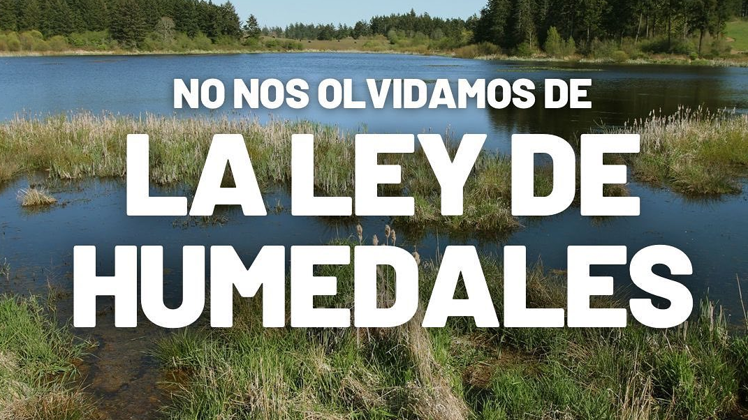 unknown_289692036_975214549834670_4692998686111634799_n unknown_289692036_975214549834670_4692998686111634799_n