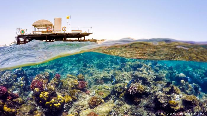 63505345_303 63505345_303