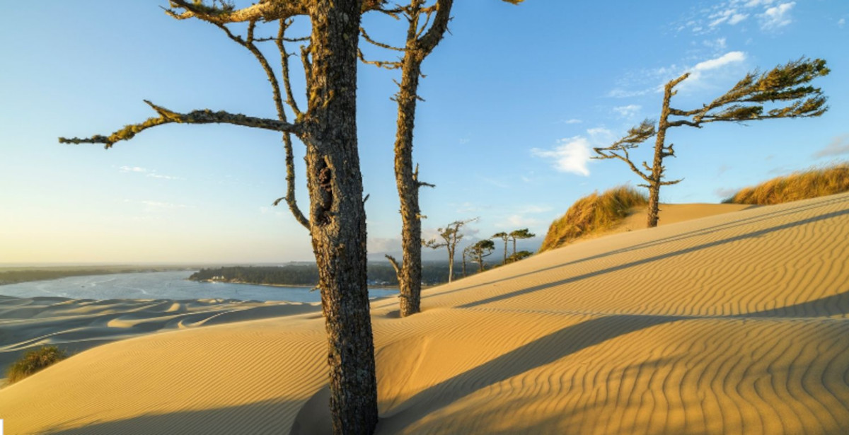 DUNE dunas Oregon DUNE dunas Oregon