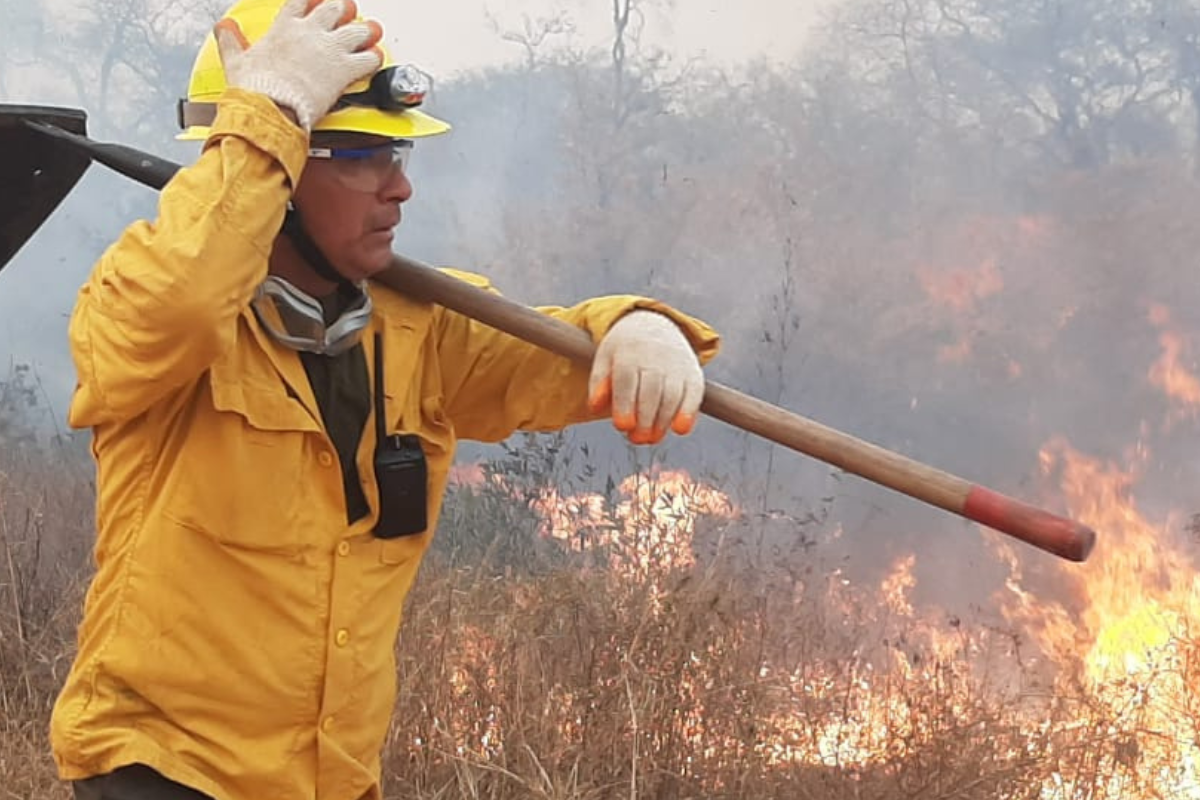 Aunque en su momento las autoridades atribuyeron las causas a prácticas ancestrales de quema, expertos señalaron que factores como el cambio climático, la falta de recursos para combatir incendios y políticas forestales inadecuadas fueron determinantes en la magnitud de la tragedia.