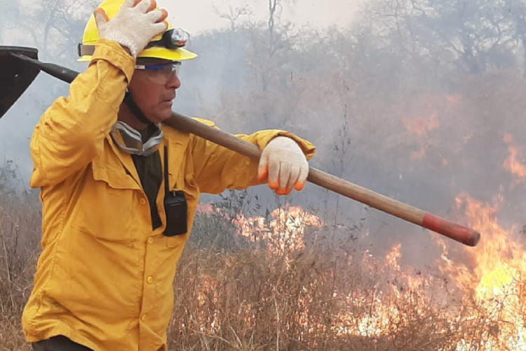 incendio peru Aunque en su momento las autoridades atribuyeron las causas a prácticas ancestrales de quema, expertos señalaron que factores como el cambio climático, la falta de recursos para combatir incendios y políticas forestales inadecuadas fueron determinantes en la magnitud de la tragedia.