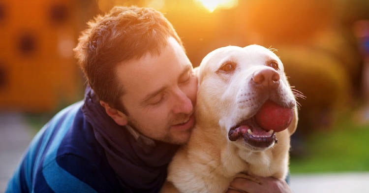 perro-quiere-tanto-como-tu-el perro-quiere-tanto-como-tu-el