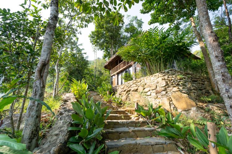 Foto de Quang Nguyen Vinh en Pexels Hotel en la naturaleza